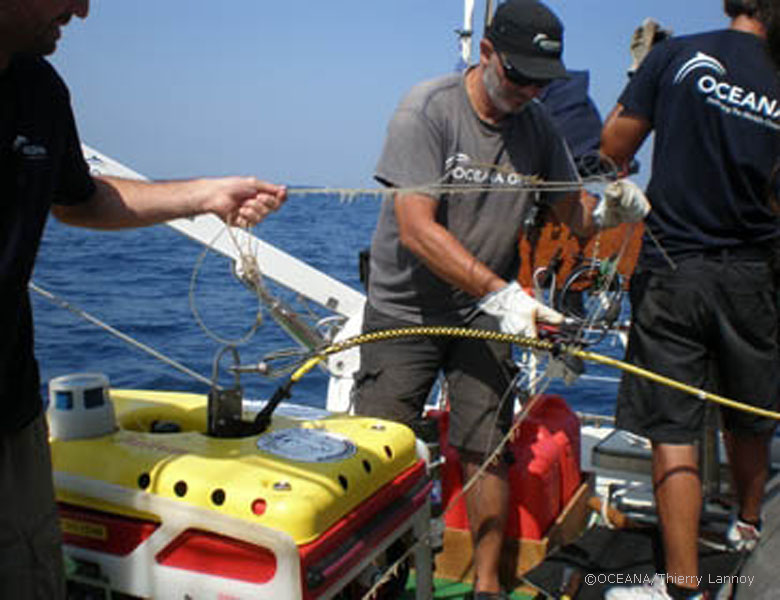 ©OCEANA/Thierry Lannoy