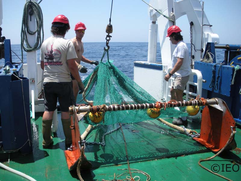 Operación en la cubierta de popa para realizar el arriado del beam trawl. La tripulación realiza las maniobras necesarias para dejarlo todo presto para el muestreo científico ©IEO