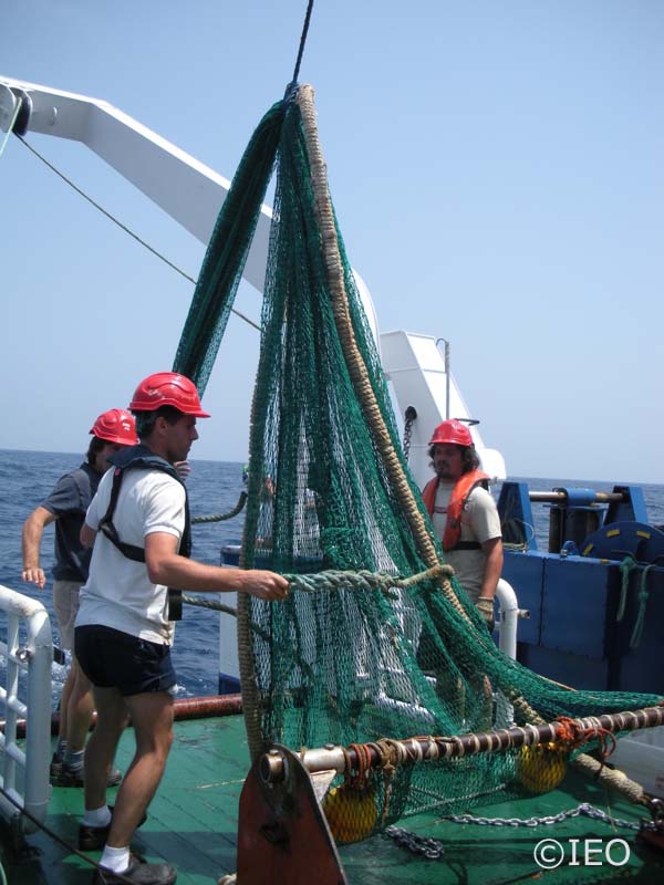 Maniobra del beam crawl en la cubierta del B/O Emma Bardán ©IEO