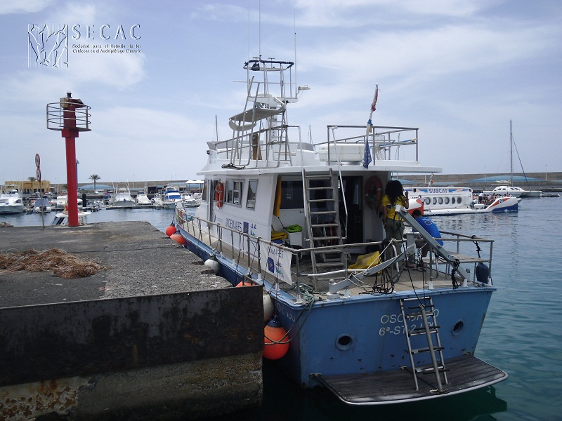 El Oso Ondo atracado en Morro Jable (Fuerteventura) ©SECAC