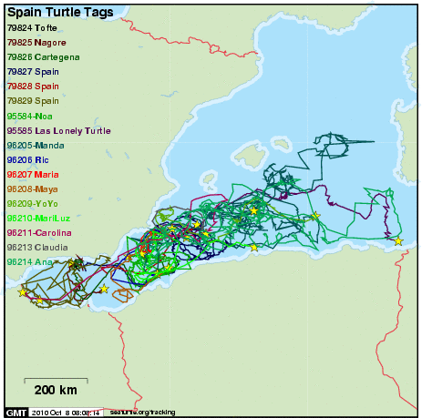 En este mapa de seguimiento por satélite de las tortugas marcadas por Alnitak con NOAA NMFS* se puede observar el intenso uso que hacen estos reptiles en la región que les ofrece uno de sus principales habitat de migración y alimentación © Alnitak