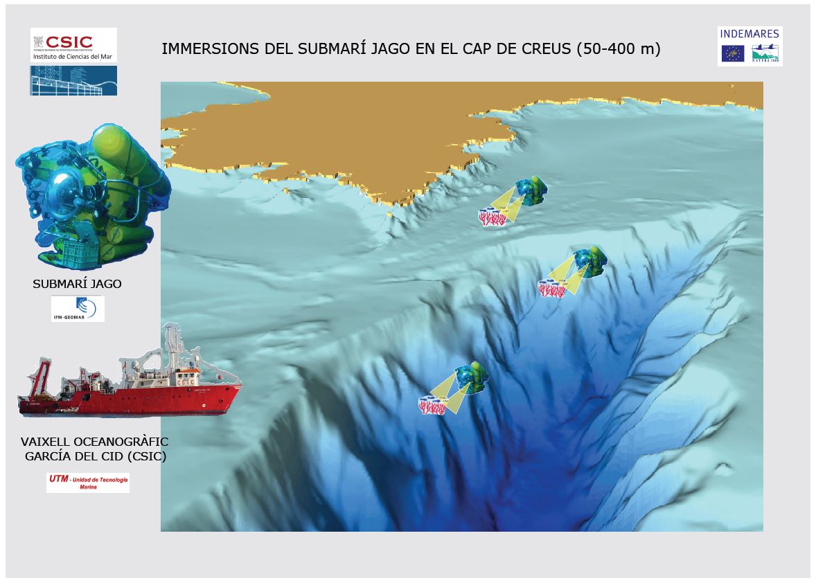 Navega en un submarino