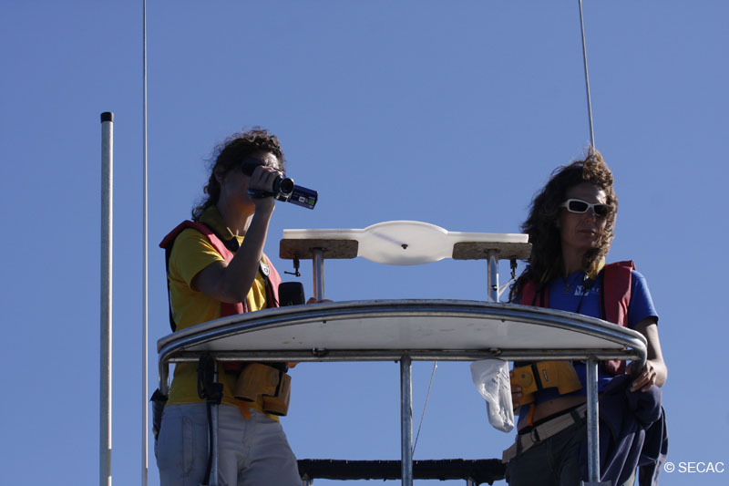 Observación desde la torre del Oso Ondo ©SECAC