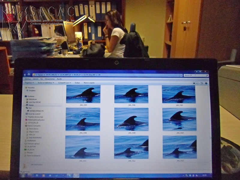 Trabajos de fotoidentificación en la oficina de la SECAC ©SECAC