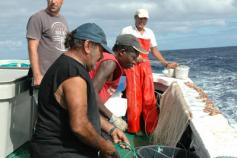 Calado del palangre vertical / Adrift vertical longline ©Sebastián Jiménez Navarro/IEO/Campaña INFUECO 1009