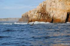 Cañón de Avilés ©SEO/BirdLife