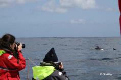 Avistamiento cetáceos. Campaña Mayo y Junio 2011 Cañón de Avilés © CEMMA
