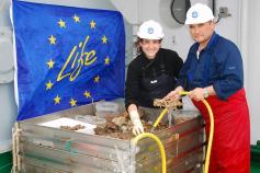 Classification of samples collected with rock dredge ©IEO