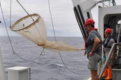 Red de plancton WP2 ©IEO