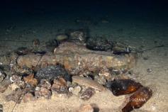 Seco de los Olivos Julio 2011 © OCEANA