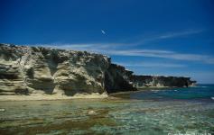 Isla de Alborán / Alborán island ©Juan Becares/SEO BirdLife