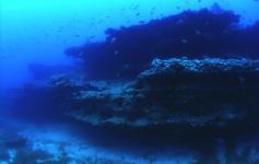 ©Rogelio Herrera/WWF España